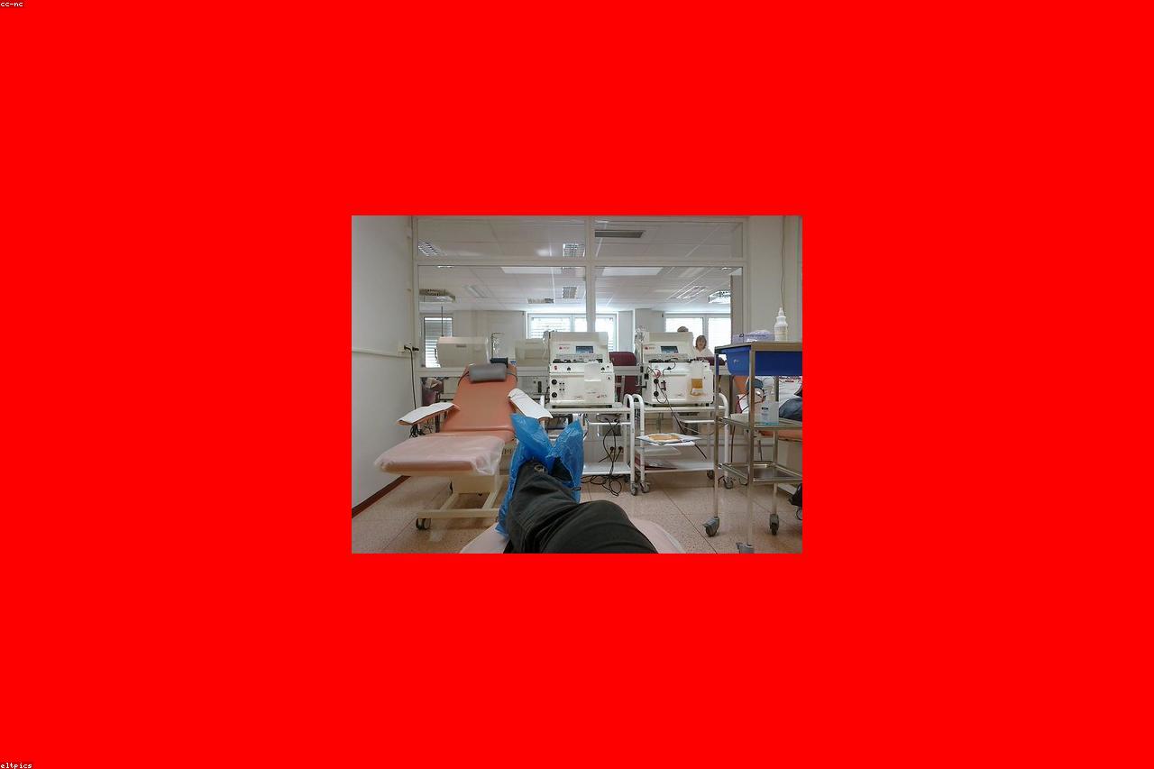 The National Blood Bank Records Its Highest Donor Turnout